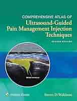 語学+参考書 Atlas of Pain Management Injection Techniques Atlas of Pain Injection Techniques: Expert Consult: Online